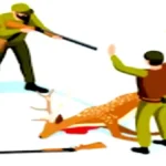wildlife-smugglers