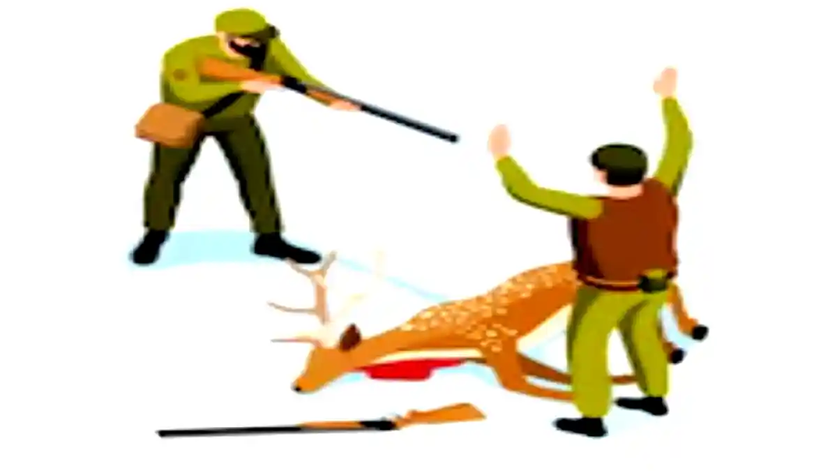 wildlife-smugglers
