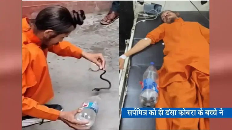 snake-bite-rescuer