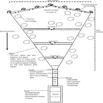 Boma Technique Illustration