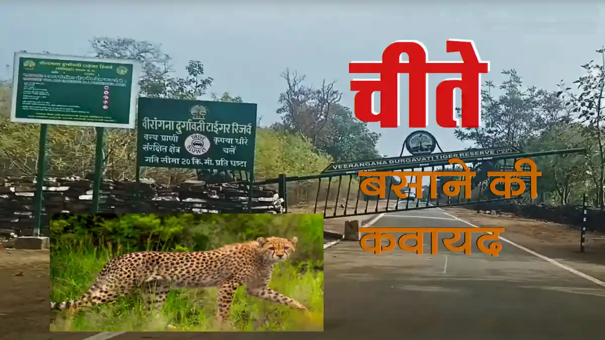 veerangana-durgavati-tiger-reserve