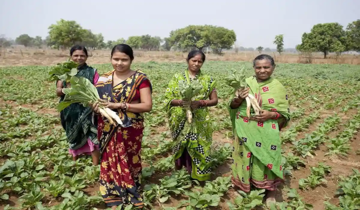 vedanta-kisan