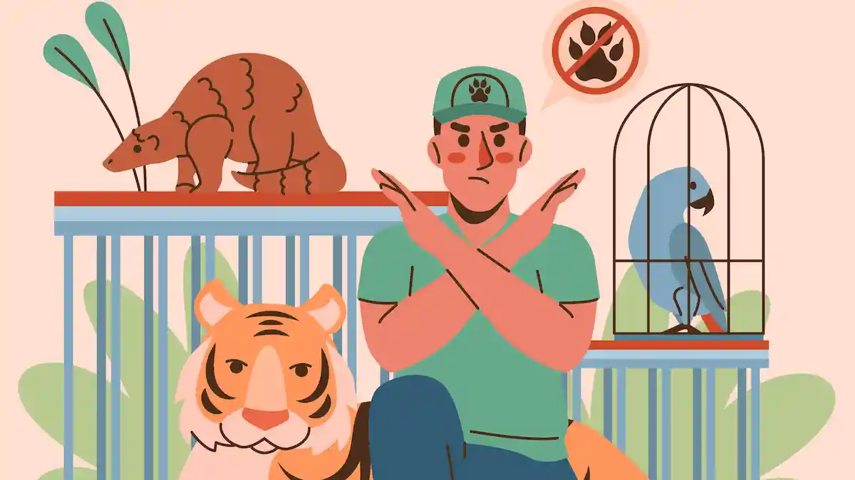 animal-rescue